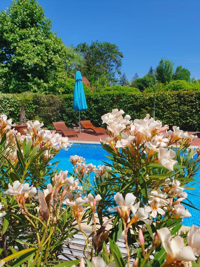 Balatonmáriafürdő Hullam Villa B&B المظهر الخارجي الصورة
